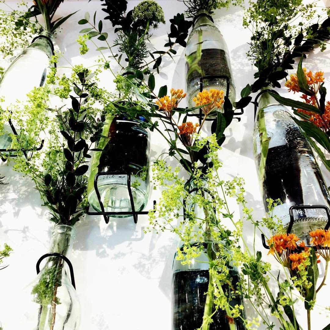 Détail botanique